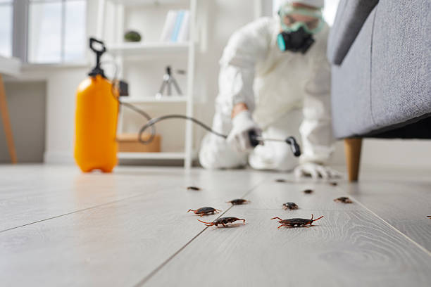 Commercial Kitchen Cockroach Control in Elkhart